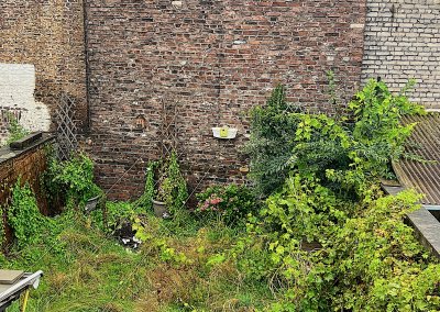 Jardin