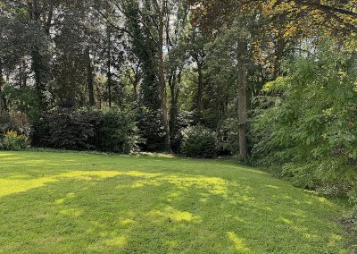 Jardin 1