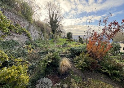 Jardin 1