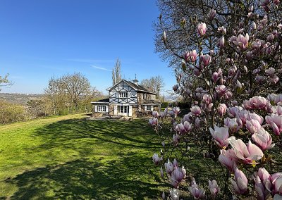 Jardin 9