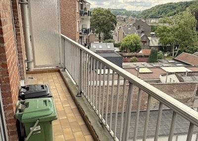 Terrasse arrière