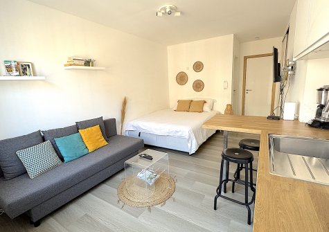 Laveu: studio meublé avec goût et prêt à l’emploi pour démarrer les études supérieures avec un max de confort!