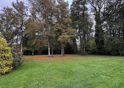 Jardin 4